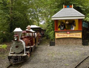Express Train