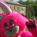 Pinkie at Westport House