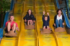 Westport House 20-08-2014_2598-red