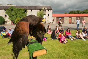 Westport House 20-08-2014_2831