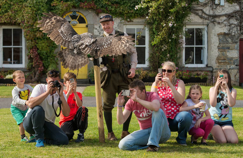 Birds Of Prey Centre At Westport House
