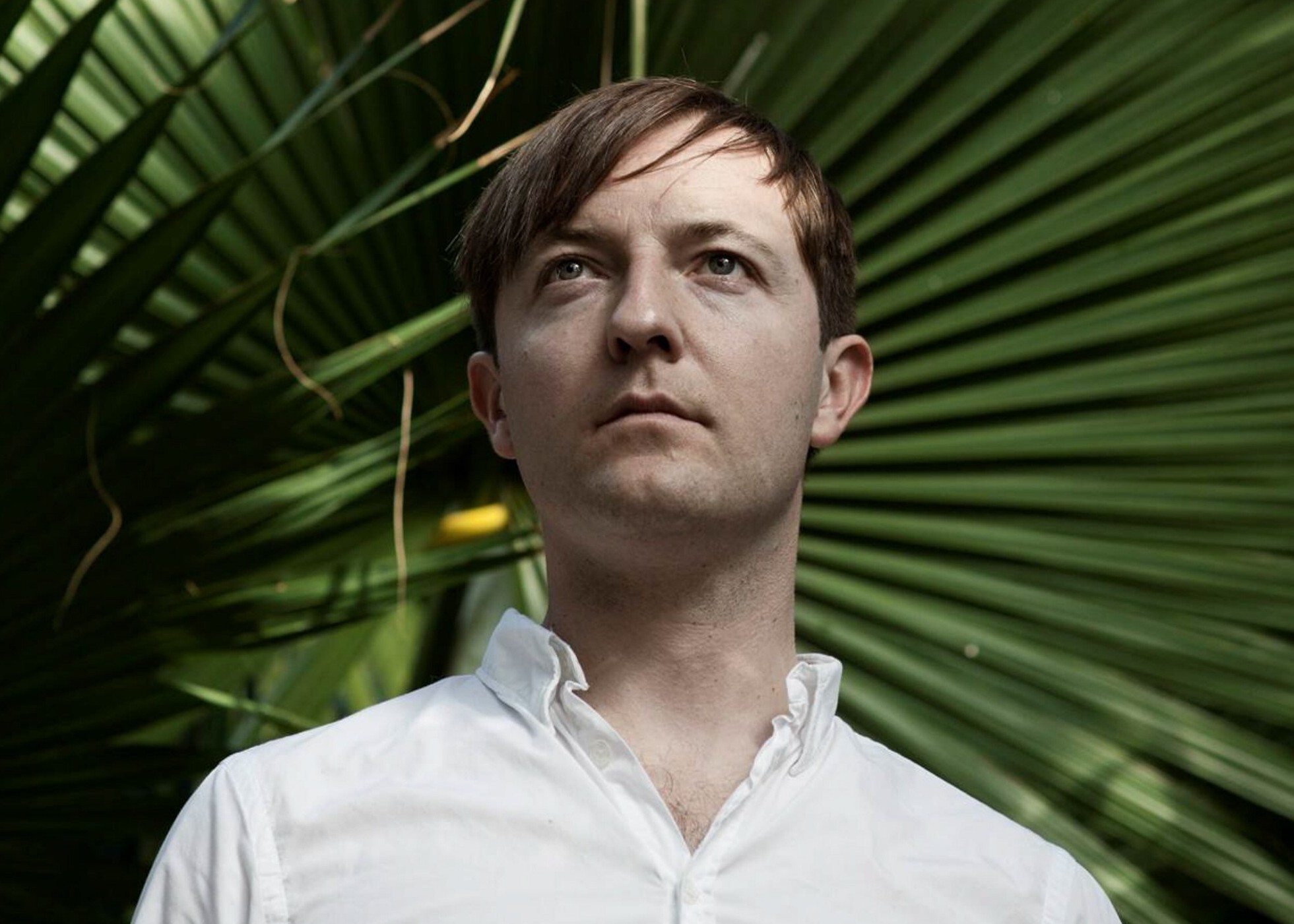 Andrew Maxwell westport